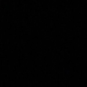 Meet your Posher, Mia